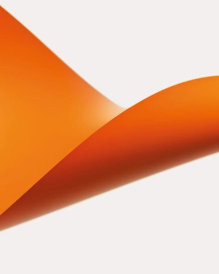 FRAUDULENT INTERNET RECRUITMENT ACTIVITIES