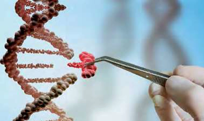 Annual Report Cover Photo 2018