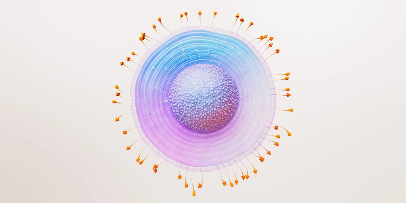 GSK Vaccine Shingles